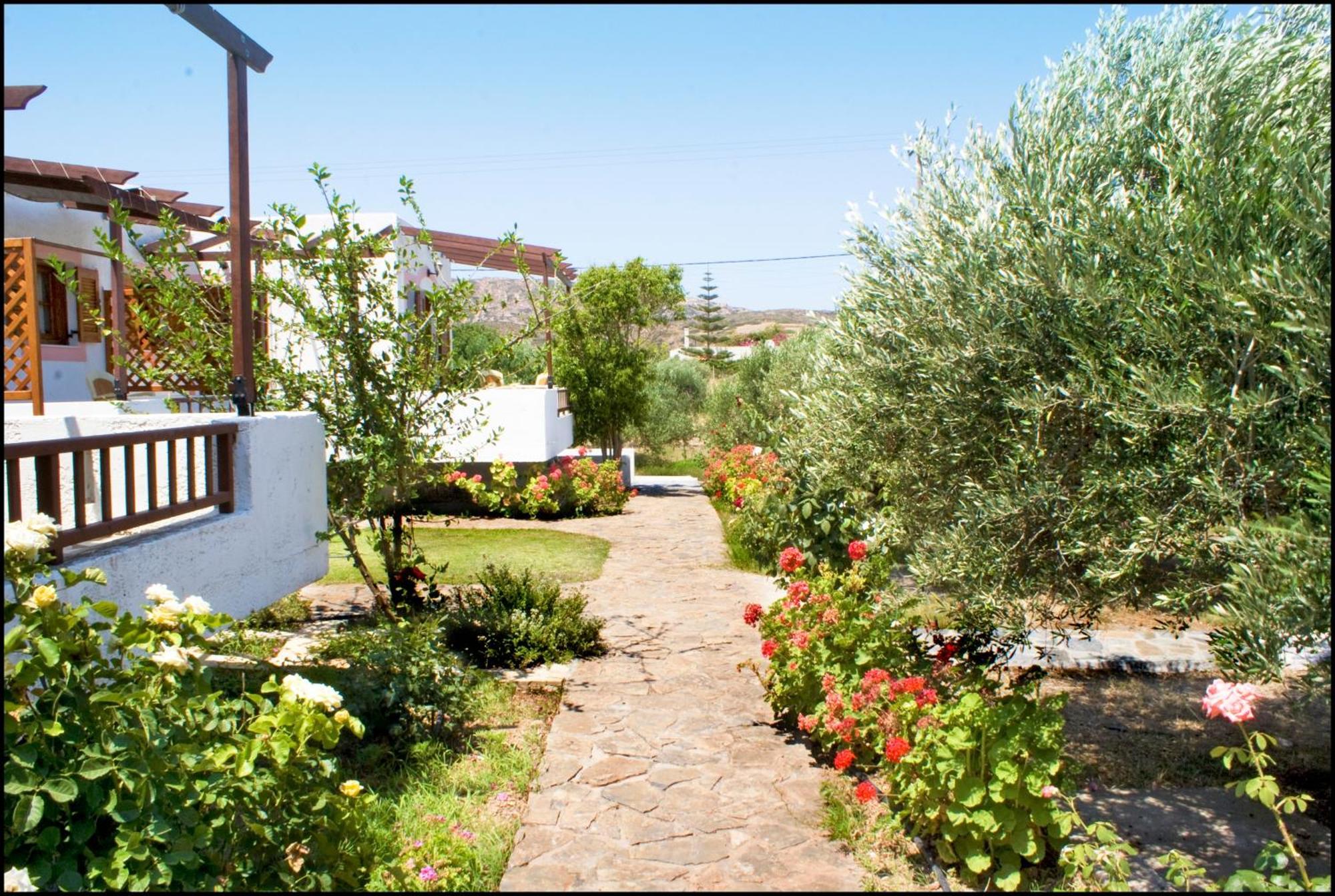 Voula's Casa Di Mare Appartement Palekastro