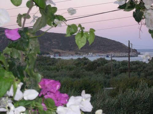 Voula's Casa Di Mare * Palaikastro